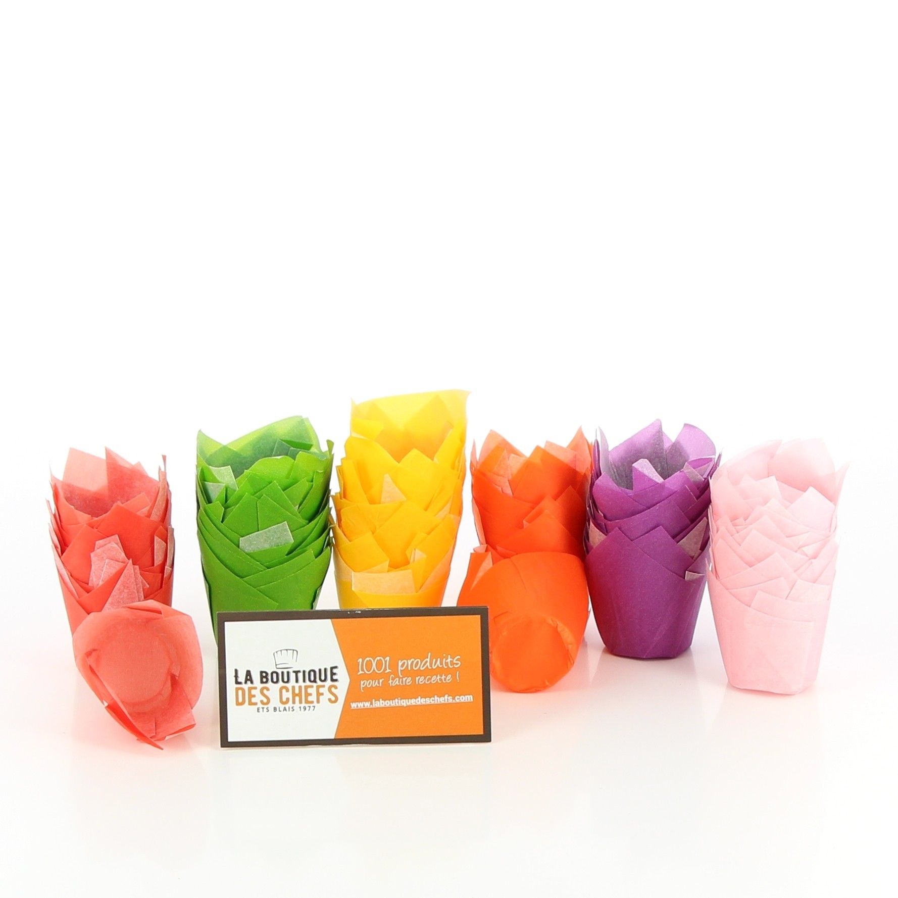 Petites caissettes Tulipcup assortis, couleur - NORDIA