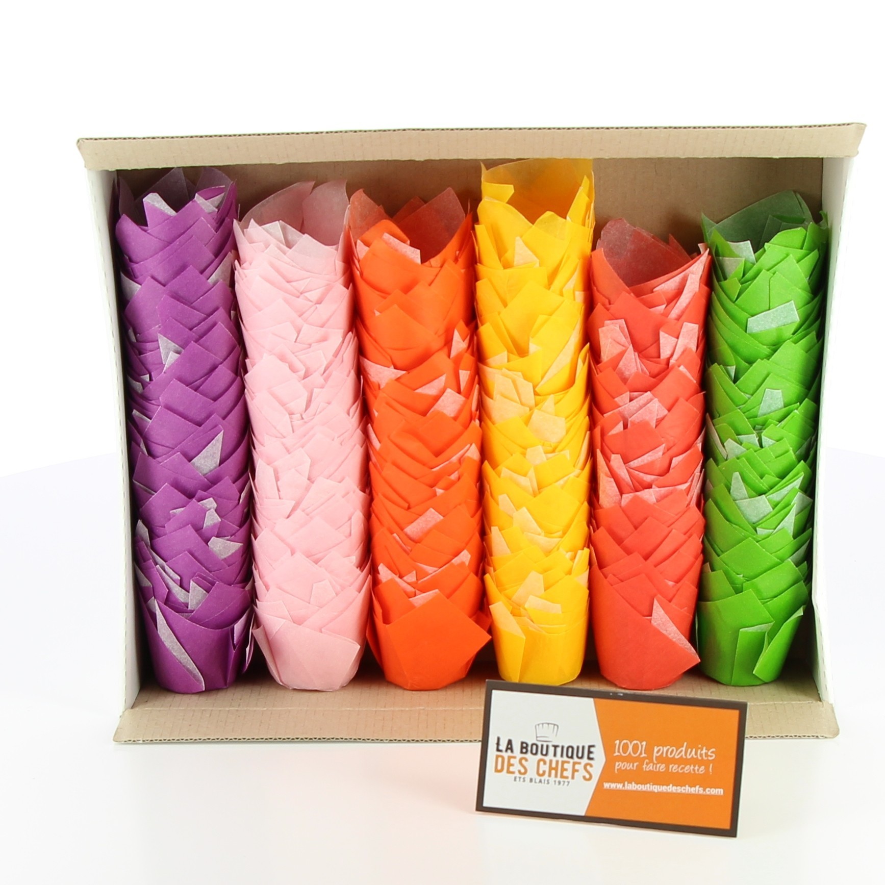 Petites caissettes Tulipcup assortis, couleur - NORDIA
